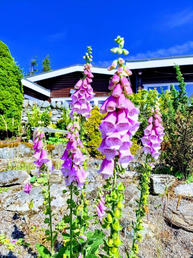 Kaoglen Apollo-hot Tub-cairngorms-pet Friendly *